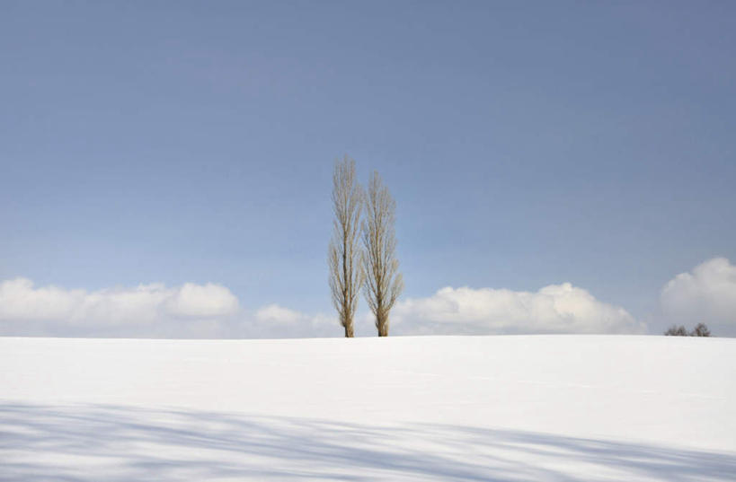 无人,横图,室外,白天,正面,旅游,度假,美景,树林,雪,植物,大雪,北海道,日本,亚洲,地平线,积雪,景观,雪景,云,云朵,冬季,冬天,辽阔,地面,云彩,娱乐,树,树木,蓝色,绿色,白云,蓝天,天空,自然,天,享受,休闲,广阔,景色,放松,寒冷,生长,成长,一望无际,自然风光,延伸,东亚,日本国,天地相交,北海道地方,北海道岛,严寒,无边无际,一马平川,彩图