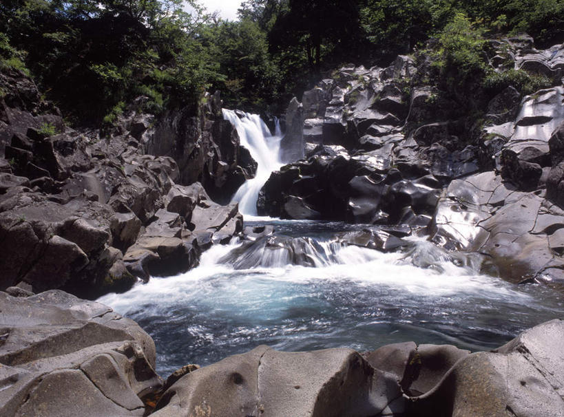 无人,横图,室外,白天,正面,长时间曝光,旅游,度假,河流,石头,美景,水,植物,秋田县,日本,亚洲,石子,河水,景观,水流,娱乐,树,树木,绿色,小溪,自然,溪水,享受,休闲,景色,放松,生长,成长,自然风光,曝光,东亚,本州,本州岛,日本国,秋田,东北地方,暴光,石块,岩石,彩图