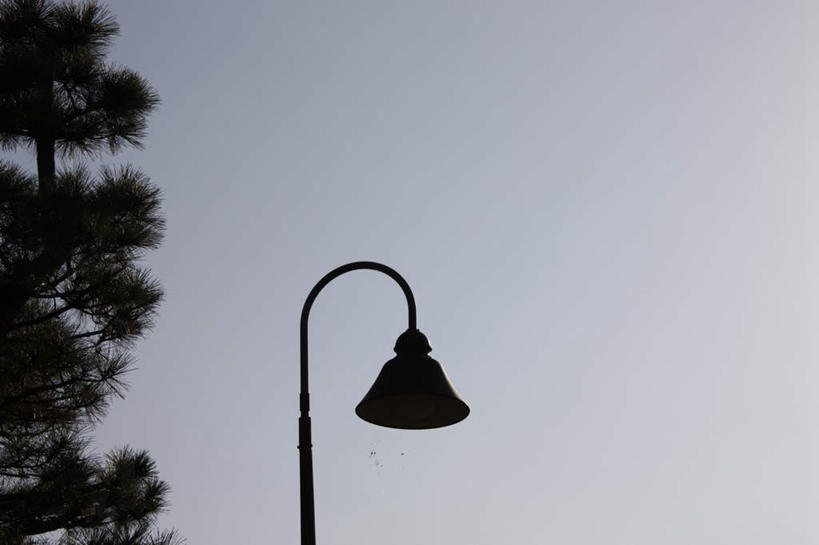 无人,横图,室外,白天,仰视,旅游,度假,美景,植物,路灯,照明,东京,日本,亚洲,阴影,光线,影子,景观,云,云朵,灯光,背光,云彩,娱乐,灯,树,树木,一个,蓝色,绿色,黑色,白云,蓝天,天空,阳光,自然,天,享受,休闲,景色,放松,生长,单个,成长,照亮,照明设备,自然风光,逆光,东亚,本州,关东地方,本州岛,日本国,东京都,彩图,低角度拍摄