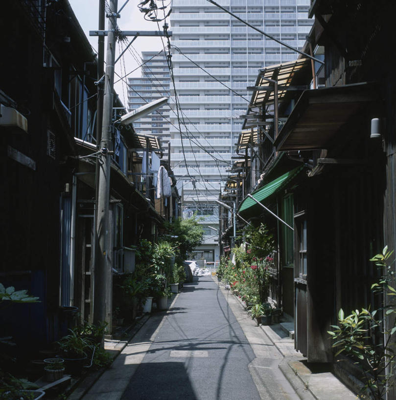 无人,家,竖图,室外,白天,正面,旅游,度假,美景,植物,城市风光,标志建筑,城市,道路,地标,建筑,路,东京,日本,亚洲,阴影,光线,盆栽,影子,房屋,屋子,景观,公寓,小路,盆景,交通,娱乐,建设,洋房,楼房,住宅,绿色,阳光,自然,享受,休闲,景色,放松,生长,成长,东亚,本州,关东地方,本州岛,日本国,东京都,彩图,房子