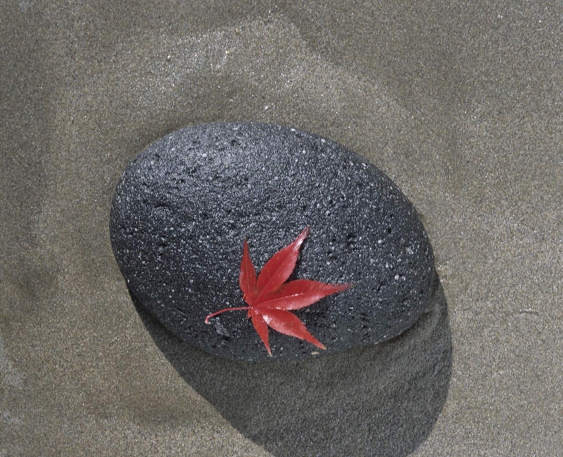 无人,横图,俯视,室外,特写,白天,旅游,度假,海浪,海洋,石头,美景,沙滩,叶子,一片,沙子,石子,海岸,景观,浪花,枫叶,枯叶,落叶,沙地,娱乐,红色,黑色,自然,海水,享受,休闲,景色,放松,枫树叶,自然风光,海景,叶,叶片,大海,风浪,海,海水的波动,海滩,近岸浪,石块,岩石,涌浪,彩图,高角度拍摄