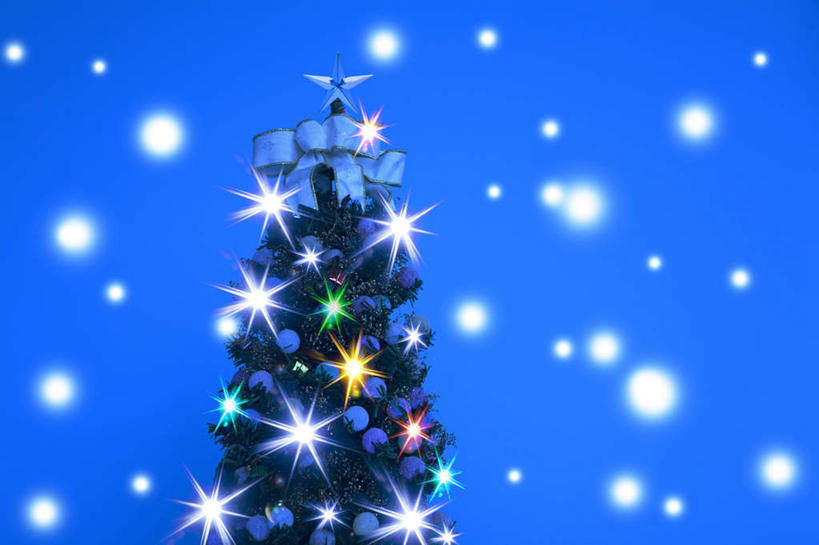 无人,横图,室内,特写,白天,仰视,数码,科技,植物,照明,圣诞节,一棵,阴影,蓝色背景,节日,庆祝,网络,彩灯,星星,灯光,圣诞树,高光,几何,计算机图形,合成,文化,灯,树,树木,绿色,自然,灯具,庆典,花灯,生长,成长,纪念,照亮,电脑合成图,数码合成图,恒星,照明设备,写实,具体,具象,彩图,低角度拍摄