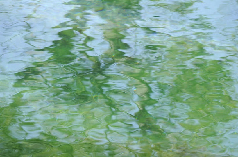 无人,横图,俯视,室外,白天,旅游,度假,河流,美景,水,植物,日本,亚洲,阴影,波纹,反射,影子,河水,景观,水流,涟漪,娱乐,树,树木,绿色,水纹,自然,波浪,享受,休闲,景色,放松,生长,成长,自然风光,东亚,本州,本州岛,日本国,中部地方,山梨,山梨县,水晕,彩图,高角度拍摄