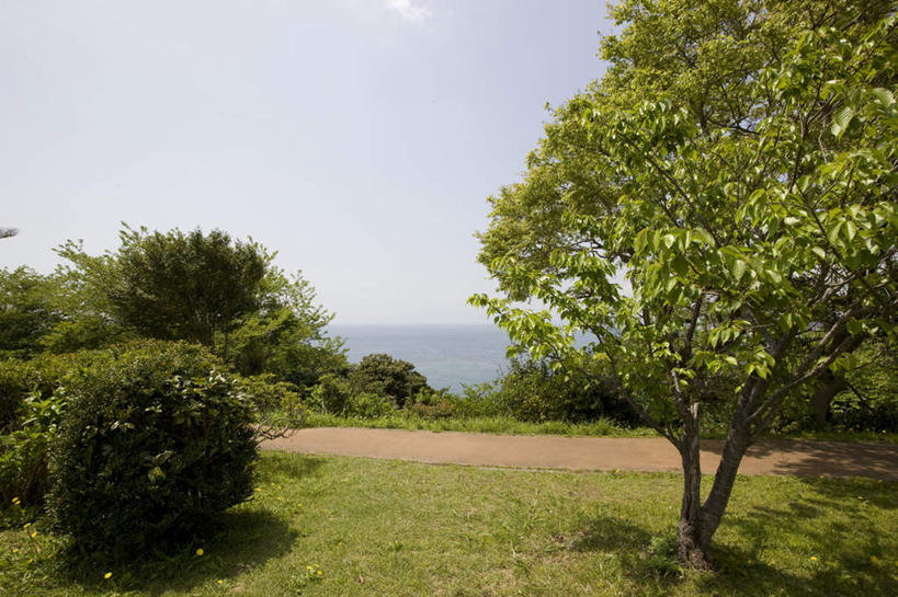 无人,横图,室外,白天,正面,旅游,度假,草地,草坪,海浪,海洋,美景,植物,道路,路,神奈川,日本,亚洲,阴影,光线,影子,景观,浪花,小路,交通,神奈川县,娱乐,草,树,树木,绿色,阳光,自然,海水,享受,休闲,景色,放松,生长,成长,自然风光,海景,东亚,本州,关东地方,本州岛,日本国,大海,风浪,海,海水的波动,近岸浪,涌浪,彩图