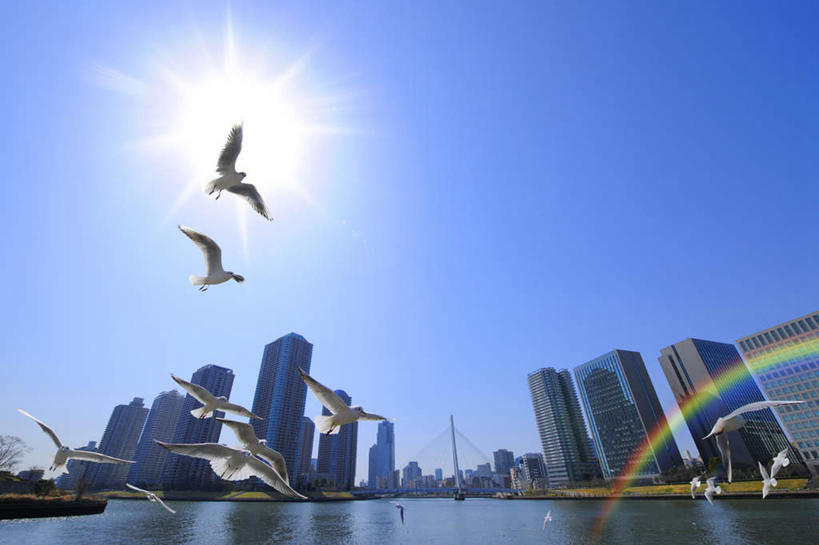 无人,高楼大厦,横图,室外,白天,仰视,度假,彩虹,河流,美景,水,太阳,城市风光,标志建筑,城市,大厦,地标,建筑,摩天大楼,海鸥,鸟,东京,日本,亚洲,许多,飞翔,伸展,张开,展翅,阴影,飞行,光线,翅膀,鸟类,影子,河水,景观,水流,娱乐,建设,蓝色,蓝天,天空,阳光,天,享受,休闲,景色,放松,东亚,张开翅膀,本州,关东地方,本州岛,日本国,东京都,展开翅膀,虹,虹桥,七彩虹,天虹,彩图,低角度拍摄,全身,大楼,高层建筑,高楼,摩天楼