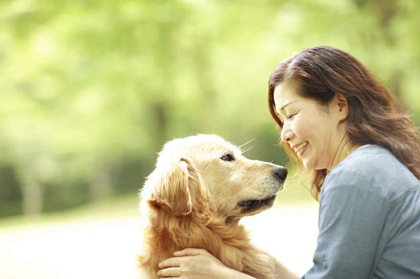 东方人,一个人,坐,摸,横图,室外,白天,侧面,植物,宠物,狗,亚洲,仅一个年轻女性,仅一个女性,仅一个人,抚摸,服装,朦胧,模糊,休闲装,黄种人,金毛犬,相视,树,树木,一只,衣服,黄色,蓝色,绿色,黑色,自然,动物,休闲,面对面,休闲服,可爱,服饰,金毛,生长,成长,对视,寻回犬,相对,金毛寻回犬,忠诚,相看,年轻女性,女人,女性,亚洲人,长发,犬,触摸,接触,坐着,半身,彩图