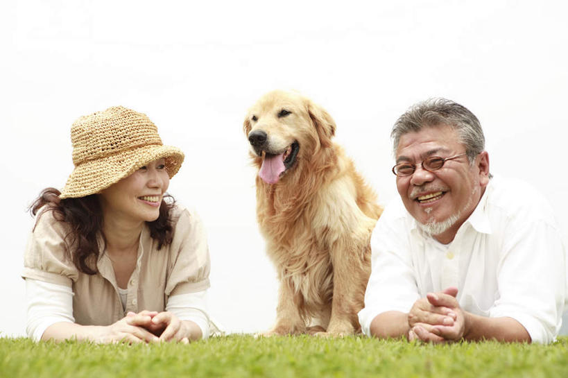 东方人,中年人,胡须,两个人,家庭,夫妻,笑,微笑,露齿笑,横图,室外,白天,正面,衬衫,爱情,草地,草坪,植物,宠物,狗,帽子,亚洲,服装,眼镜,云,云朵,浪漫,云彩,休闲装,黄种人,金毛犬,吐舌头,草,一只,衣服,黄色,绿色,白云,动物,遮阳帽,趴着,伸舌头,休闲,温暖,温馨,鬼脸,一家人,休闲服,吐舌,恩爱,可爱,恋人,服饰,金毛,和睦,寻回犬,近视眼镜,金毛寻回犬,忠诚,男人,男性,女人,女性,中年男性,中年女性,亚洲人,胡子,络腮胡,夫妇,情侣,犬,趴,半身,彩图,衬衣,伴侣,融洽