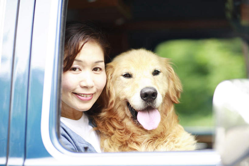 东方人,一个人,坐,笑,微笑,露齿笑,横图,室外,白天,正面,植物,汽车,宠物,狗,亚洲,仅一个年轻女性,仅一个女性,仅一个人,一条,服装,朦胧,模糊,注视,休闲装,黄种人,金毛犬,车,树,树木,衣服,黄色,绿色,黑色,自然,动物,交通工具,轿车,观察,看,休闲,休闲服,可爱,服饰,金毛,生长,成长,观看,察看,关注,载具,寻回犬,金毛寻回犬,忠诚,年轻女性,女人,女性,亚洲人,长发,犬,坐着,半身,彩图