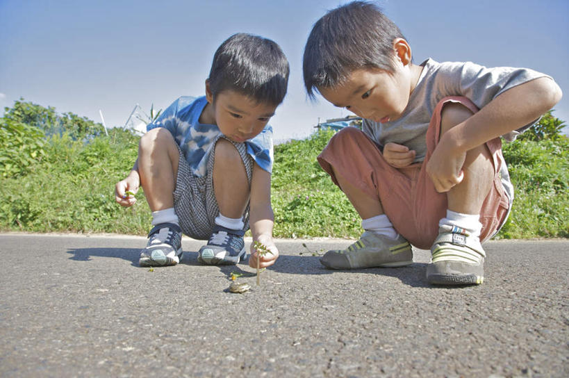 东方人,儿童,两个人,蹲,横图,室外,白天,仰视,游戏,纯洁,草地,草坪,植物,青蛙,野生动物,亚洲,阴影,光线,影子,拿,玩,拿着,注视,黄种人,娱乐,草,树,树木,一只,小孩,蓝色,绿色,黑色,蓝天,天空,阳光,自然,动物,天,低头,观察,看,休闲,可爱,童年,童趣,活泼,生长,成长,观看,活动,察看,发泄,关注,消遣,智力,童真,烂漫,无邪,宣泄,天真,男孩,男人,男性,亚洲人,孩子,蹲着,玩耍,嬉戏,彩图,低角度拍摄,全身,短发,男生