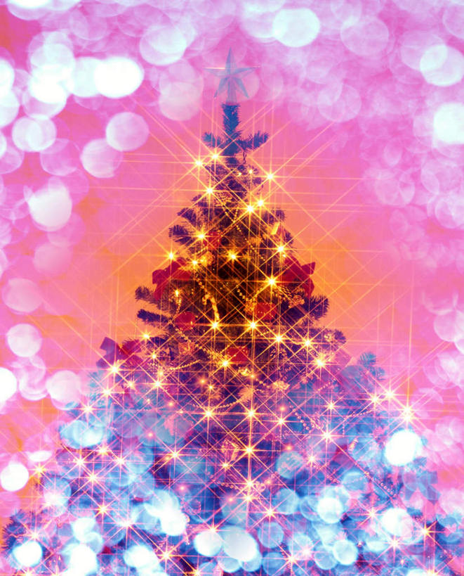 无人,竖图,室内,特写,白天,正面,植物,照明,圣诞节,节日,庆祝,装饰,光线,光泽,彩灯,灯光,圣诞树,光芒,一颗,文化,灯,树,树木,绿色,自然,灯具,庆典,闪耀,摄影,花灯,影棚,生长,成长,纪念,华丽,修饰,照亮,点缀,闪烁,照明设备,五彩缤纷,光辉,衬托,美观,雅致,雅观,毫光,彩图,影棚拍摄,拍摄