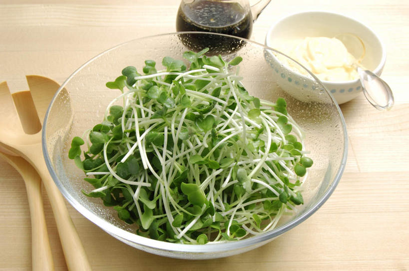 无人,横图,俯视,室内,特写,白天,桌面,桌子,蔬菜,杯子,餐具,叶子,一堆,许多,堆叠,堆积,新鲜,瓷器,豆芽,食品,绿叶,咖啡杯,陶瓷制品,食物,碗,嫩叶,摄影,有机食品,绿色食品,影棚,堆,瓷杯,豆芽菜,芽苗菜,叶,叶片,进餐用具,烹调用具,彩图,高角度拍摄,影棚拍摄,拍摄