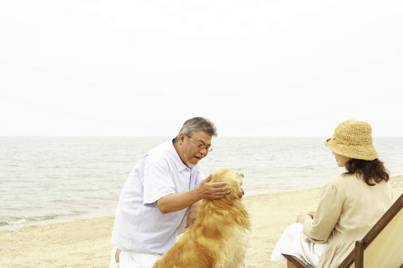 东方人,两个人,家庭,夫妻,坐,笑,摸,微笑,露齿笑,横图,室外,白天,侧面,爱情,旅游,度假,海浪,海洋,沙滩,宠物,狗,帽子,椅子,亚洲,抚摸,阴影,波纹,服装,光线,沙子,影子,躺椅,海岸,浪花,云,云朵,沙地,浪漫,云彩,注视,休闲装,黄种人,娱乐,金毛犬,一只,衣服,黄色,蓝色,白色,白云,蓝天,水纹,天空,阳光,海水,动物,遮阳帽,波浪,天,观察,看,靠,靠着,倚靠,享受,休闲,温暖,温馨,一家人,休闲服,恩爱,放松,可爱,恋人,服饰,金毛,观看,沙滩椅,和睦,察看,倚着,关注,寻回犬,海景,金毛寻回犬,忠诚,一顶,老年男性,老年女性,男人,男性,女人,女性,亚洲人,夫妇,情侣,大海,风浪,海,海水的波动,海滩,近岸浪,涌浪,犬,触摸,接触,坐着,半身,彩图,伴侣,融洽