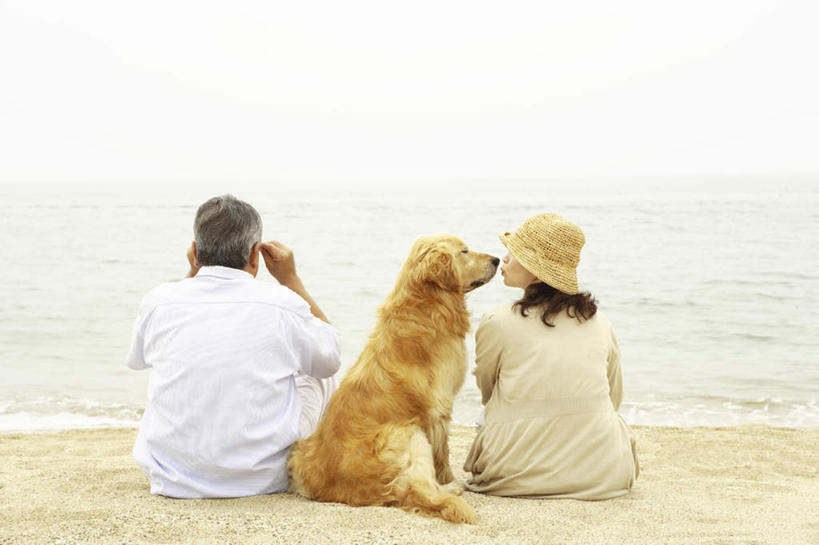 东方人,两个人,家庭,夫妻,坐,笑,摸,微笑,露齿笑,横图,室外,白天,爱情,旅游,度假,海浪,海洋,沙滩,水,宠物,狗,帽子,亚洲,抚摸,飞溅,服装,溅,沙子,液体,海岸,浪花,水滴,沙地,浪漫,扭头,注视,休闲装,黄种人,娱乐,金毛犬,水珠,一只,背面,衣服,蓝色,白色,蓝天,天空,海水,动物,遮阳帽,天,观察,看,转头,享受,休闲,温暖,温馨,一家人,休闲服,恩爱,放松,可爱,恋人,服饰,金毛,观看,和睦,察看,关注,喷洒,寻回犬,海景,金毛寻回犬,忠诚,一顶,老年男性,老年女性,男人,男性,女人,女性,亚洲人,夫妇,情侣,大海,风浪,海,海水的波动,海滩,近岸浪,涌浪,犬,触摸,接触,坐着,彩图,全身,伴侣,融洽