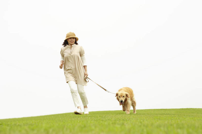 东方人,一个人,站,走,笑,微笑,露齿笑,横图,室外,白天,正面,旅游,度假,草地,草坪,植物,宠物,狗,帽子,亚洲,仅一个女性,仅一个人,牵,阴影,服装,光线,影子,注视,休闲装,黄种人,娱乐,金毛犬,草,一只,衣服,黄色,蓝色,绿色,白色,蓝天,天空,阳光,动物,遮阳帽,天,观察,看,站着,享受,休闲,休闲服,放松,可爱,服饰,仅一个老年女性,金毛,观看,牵着,察看,关注,寻回犬,金毛寻回犬,忠诚,一顶,老年女性,女人,女性,亚洲人,犬,步行,散步,站立,走路,彩图,全身