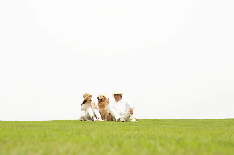 东方人,两个人,家庭,夫妻,坐,笑,摸,微笑,露齿笑,横图,室外,白天,正面,爱情,旅游,度假,草地,草坪,植物,宠物,狗,帽子,亚洲,抚摸,阴影,服装,光线,影子,浪漫,扭头,注视,休闲装,黄种人,娱乐,金毛犬,草,一只,衣服,黄色,蓝色,绿色,白色,蓝天,天空,阳光,动物,遮阳帽,天,观察,看,转头,享受,休闲,温暖,温馨,一家人,休闲服,恩爱,放松,可爱,恋人,服饰,金毛,观看,和睦,察看,关注,寻回犬,金毛寻回犬,忠诚,一顶,老年男性,老年女性,男人,男性,女人,女性,亚洲人,夫妇,情侣,犬,触摸,接触,坐着,彩图,全身,伴侣,融洽