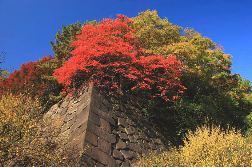 无人,横图,室外,白天,仰视,旅游,度假,草地,草坪,石头,美景,树林,植物,东京,日本,亚洲,许多,阴影,光线,石子,影子,墙,景观,娱乐,墙壁,墙面,草,树,树木,排列,蓝色,绿色,蓝天,天空,阳光,自然,天,享受,休闲,砖头,景色,放松,生长,晴朗,成长,队列,自然风光,东亚,本州,万里无云,关东地方,本州岛,日本国,东京都,石块,晴空,晴空万里,彩图,低角度拍摄