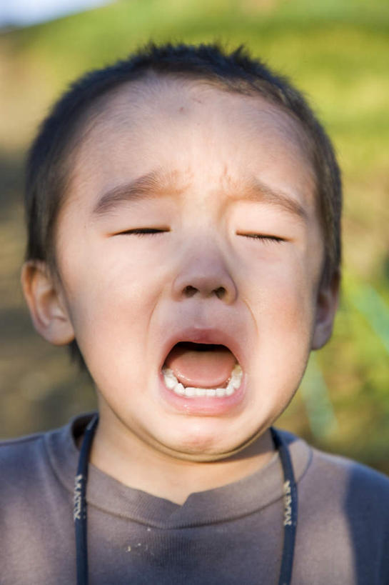 东方人,儿童,脸,头,脸颊,头发,一个人,站,闭眼,哭,竖图,室外,白天,正面,旅游,度假,纯洁,草地,草坪,植物,亚洲,仅一个男性,仅一个人,阴影,服装,光线,影子,休闲装,黄种人,娱乐,草,小孩,衣服,绿色,黑色,灰色,阳光,站着,张嘴,仅一个小孩,享受,休闲,休闲服,放松,可爱,童年,童趣,服饰,喊叫,呼喊,张大嘴巴,童真,烂漫,无邪,天真,男孩,男人,男性,亚洲人,孩子,头部,脸部,脸蛋,面部,张开嘴,闭眼睛,闭着眼,闭着眼睛,站立,半身,彩图,哭泣,哭啼,男生