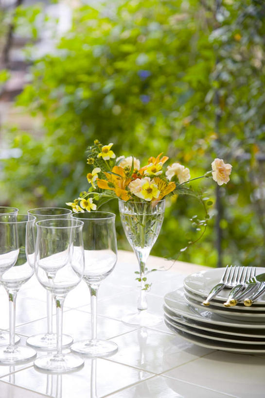 无人,竖图,俯视,室外,白天,旅游,度假,草地,草坪,植物,餐桌,桌子,六出花,杯子,餐具,神奈川,日本,亚洲,一排,阴影,堆叠,整齐,盛开,光线,碟子,高脚杯,盘,影子,红酒杯,横滨,横滨市,神奈川县,花蕾,娱乐,玻璃制品,草,花,花瓣,花朵,鲜花,树,树木,排列,绿色,阳光,自然,盘子,酒杯,碟,花苞,花蕊,四个,享受,休闲,放松,生长,成长,餐台,堆,队列,东亚,本州,首府,关东地方,本州岛,日本国,水仙百合,秘鲁百合,玻璃杯,彩图,高角度拍摄