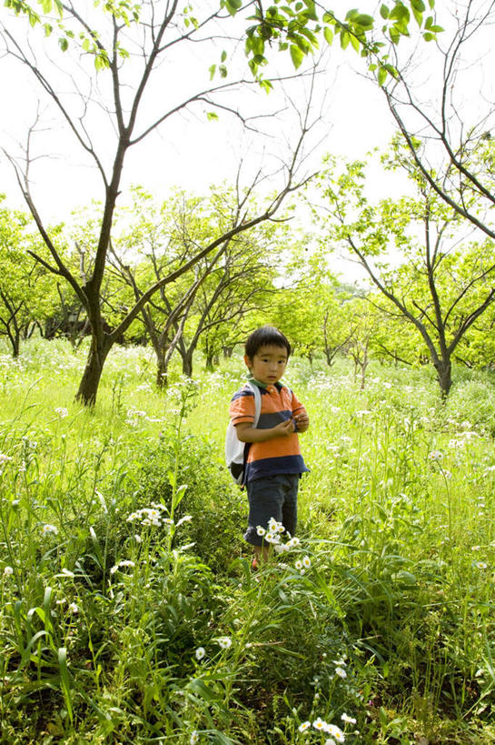 东方人,儿童,头发,一个人,站,笑,摸,微笑,露齿笑,竖图,室外,白天,正面,旅游,度假,纯洁,草地,草坪,植物,亚洲,仅一个男性,仅一个人,抚摸,阴影,条纹,服装,光线,影子,云,云朵,云彩,注视,休闲装,黄种人,娱乐,草,树,树木,小孩,衣服,蓝色,绿色,黑色,白云,蓝天,天空,阳光,自然,天,观察,看,站着,仅一个小孩,享受,休闲,休闲服,橙色,放松,可爱,童年,童趣,服饰,生长,成长,观看,察看,关注,童真,烂漫,无邪,天真,男孩,男人,男性,亚洲人,孩子,触摸,接触,站立,彩图,全身,男生