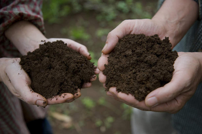 东方人,手,两个人,家庭,夫妻,农田,捧,摸,横图,俯视,室外,白天,爱情,庄稼,农作物,草地,草坪,植物,亚洲,一堆,抚摸,握,阴影,堆叠,堆积,光线,影子,泥土,土壤,褐色,浪漫,拿,拿着,黄种人,草,绿色,阳光,温暖,温馨,一家人,手部,恩爱,握着,恋人,堆,和睦,男人,男性,年轻男性,年轻女性,女人,女性,亚洲人,夫妇,情侣,触摸,端,端着,接触,捧着,手捧,半身,彩图,高角度拍摄,耕地,庄稼田,伴侣,融洽