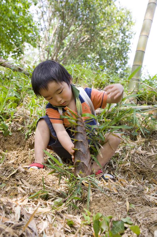 东方人,儿童,头发,一个人,坐,笑,摸,微笑,露齿笑,竖图,室外,白天,正面,旅游,度假,纯洁,草地,草坪,植物,蔬菜,亚洲,仅一个男性,仅一个人,抚摸,握,阴影,服装,新鲜,光线,影子,竹笋,食品,拿,拿着,注视,休闲装,黄种人,娱乐,笋,草,树,树木,食物,小孩,衣服,绿色,黑色,阳光,自然,低头,观察,看,仅一个小孩,享受,休闲,休闲服,橙色,放松,可爱,童年,童趣,握着,服饰,有机食品,绿色食品,生长,成长,观看,察看,关注,童真,烂漫,无邪,天真,男孩,男人,男性,亚洲人,孩子,触摸,接触,坐着,彩图,全身,男生
