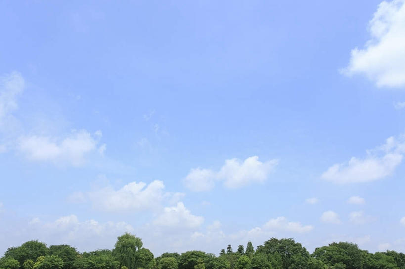 无人,横图,室外,白天,仰视,旅游,度假,美景,植物,东京,日本,亚洲,阴影,光线,影子,景观,云,云朵,云彩,娱乐,树,树木,蓝色,绿色,白云,蓝天,天空,阳光,自然,天,享受,休闲,景色,放松,生长,成长,自然风光,东亚,本州,关东地方,本州岛,日本国,东京都,彩图,低角度拍摄