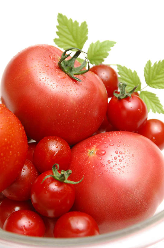 无人,竖图,俯视,室内,白天,白色背景,西红柿,餐具,水果,叶子,一堆,许多,堆叠,堆积,新鲜,碟子,盘,生食,食品,果实,绿叶,食物,盘子,碟,嫩叶,摄影,有机食品,绿色食品,影棚,堆,叶,叶片,樱桃番茄,圣女果,番茄,彩图,高角度拍摄,影棚拍摄,拍摄