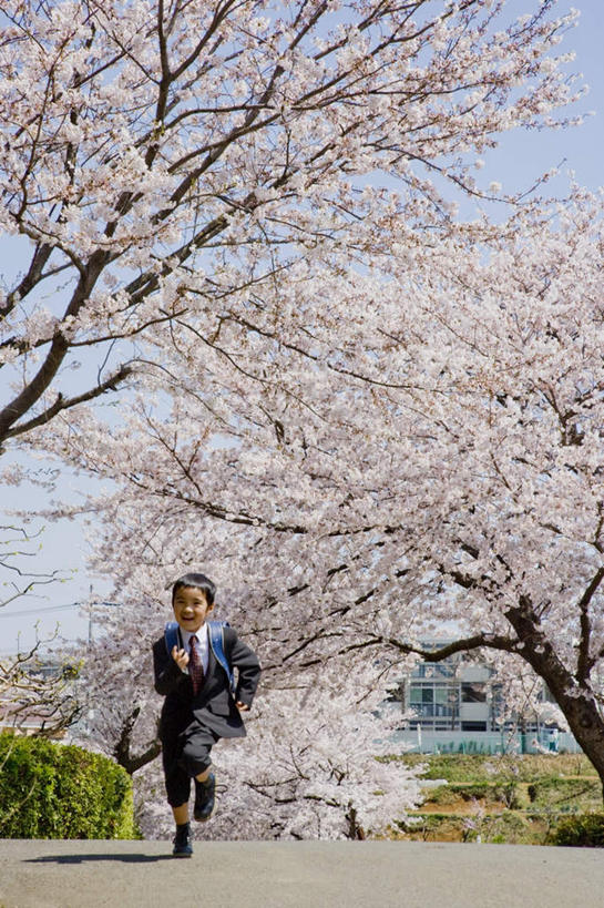 东方人,头发,一个人,商务人士,商务男性,站,跑,竖图,室外,白天,正面,衬衫,锻炼,旅游,度假,运动,草地,草坪,植物,道路,路,樱花,亚洲,仅一个男性,仅一个人,阴影,套装,盛开,光线,包,公文包,影子,云,云朵,小路,领带,交通,花蕾,云彩,拎,抬腿,黄种人,娱乐,草,花,花瓣,花朵,鲜花,树,树木,仅一个年轻男性,一个,粉色,蓝色,绿色,黑色,白云,蓝天,天空,阳光,自然,天,花苞,花蕊,站着,享受,休闲,放松,乡间小路,生长,单个,成长,公事包,踮脚,商务装,工薪阶层,仙樱花,福岛樱,青肤樱,体育,男人,男性,年轻男性,亚洲人,白领,上班族,荆桃,跑步,站立,彩图,全身,衬衣,健身,拎着