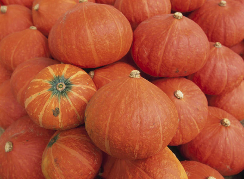 无人,横图,俯视,室内,白天,南瓜,蔬菜,一堆,许多,阴影,堆叠,堆积,条纹,新鲜,光线,纹理,影子,金瓜,食品,番瓜,食物,红色,阳光,球体,有机食品,绿色食品,堆,麦瓜,倭瓜,彩图,高角度拍摄