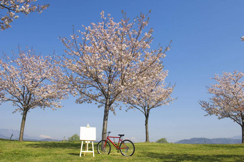 无人,横图,室外,白天,正面,旅游,度假,草地,草坪,美景,植物,自行车,樱花,长野县,日本,亚洲,一块,一辆,一张,阴影,盛开,光线,木制,影子,纸,景观,画板,花蕾,娱乐,车,脚踏车,草,花,花瓣,花朵,鲜花,粉色,蓝色,绿色,白色,蓝天,天空,阳光,自然,木制品,交通工具,天,花苞,花蕊,享受,休闲,景色,放松,晴朗,自然风光,载具,东亚,本州,万里无云,本州岛,日本国,中部地方,长野,仙樱花,福岛樱,青肤樱,晴空,晴空万里,荆桃,彩图