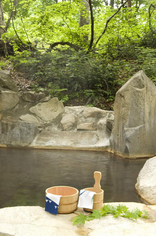 无人,竖图,俯视,室外,白天,按摩,美容,旅游,度假,草地,草坪,礁石,石头,美景,水,植物,日本,亚洲,一条,护肤,阴影,波纹,光线,木制,石子,液体,影子,景观,水滴,娱乐,草,树,树木,一个,粉色,绿色,水纹,阳光,自然,木制品,毛巾,波浪,保养,享受,休闲,浴盆,景色,放松,SPA水疗,保健,温泉浴场,生长,单个,成长,自然风光,东亚,养颜,本州,本州岛,日本国,中部地方,新潟,新潟县,礁,石块,岩石,矿泉疗养地,彩图,高角度拍摄,水疗