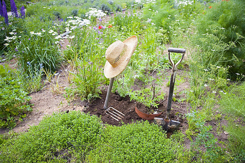 无人,农田,横图,俯视,室外,白天,旅游,度假,庄稼,农作物,草地,草坪,美景,植物,帽子,东京,日本,亚洲,一把,阴影,盛开,光线,叉子,工具,影子,景观,花蕾,娱乐,草,花,花瓣,花朵,鲜花,黄色,绿色,白色,阳光,自然,遮阳帽,花苞,花蕊,享受,休闲,景色,放松,自然风光,东亚,本州,关东地方,本州岛,日本国,东京都,一顶,彩图,高角度拍摄,耕地,庄稼田