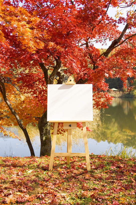 无人,竖图,室外,白天,正面,旅游,度假,草地,草坪,美景,植物,叶子,长野县,日本,亚洲,一块,一张,阴影,光线,木制,影子,纸,景观,枯叶,落叶,画板,娱乐,草,树,树木,黄色,红色,绿色,白色,阳光,自然,木制品,享受,休闲,景色,放松,生长,成长,自然风光,东亚,本州,本州岛,日本国,中部地方,长野,叶,叶片,彩图