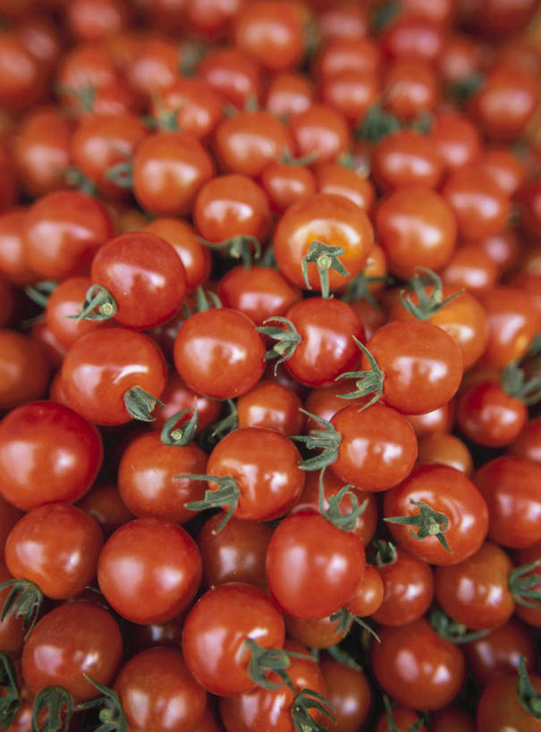 无人,竖图,俯视,室内,特写,白天,蔬菜,西红柿,一堆,许多,阴影,堆叠,堆积,朦胧,模糊,新鲜,光线,影子,食品,食物,红色,绿色,阳光,有机食品,绿色食品,堆,萼片,樱桃番茄,圣女果,番茄,彩图,高角度拍摄