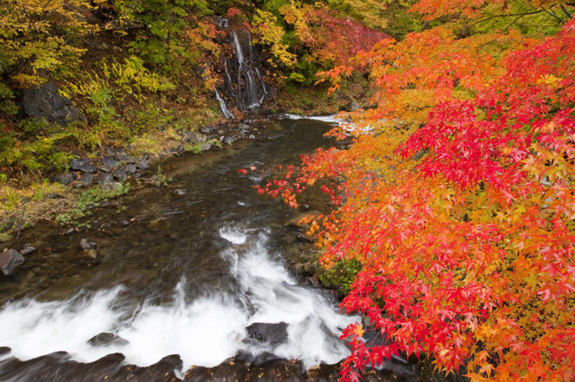 无人,横图,俯视,室外,白天,旅游,度假,草地,草坪,河流,美景,山,水,植物,日本,亚洲,阴影,波纹,光线,影子,河水,景观,山峰,水流,山峦,娱乐,草,树,树木,黄色,绿色,水纹,小溪,阳光,自然,波浪,溪水,享受,休闲,景色,放松,流动,生长,成长,自然风光,东亚,本州,本州岛,日本国,青森,青森县,东北地方,彩图,高角度拍摄