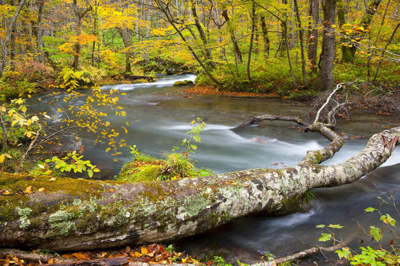 无人,横图,俯视,室外,白天,旅游,度假,草地,草坪,河流,美景,水,植物,日本,亚洲,阴影,波纹,飞溅,溅,光线,液体,影子,河水,景观,水滴,水流,娱乐,水珠,草,树,树木,绿色,水纹,小溪,阳光,自然,波浪,溪水,享受,休闲,景色,放松,生长,成长,喷洒,自然风光,东亚,本州,本州岛,日本国,青森,青森县,东北地方,彩图,高角度拍摄