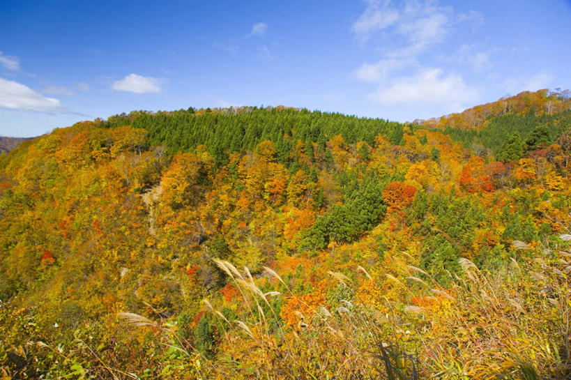无人,横图,室外,白天,正面,旅游,度假,草地,草坪,美景,山,山脉,植物,秋田县,日本,亚洲,阴影,光线,影子,景观,山峰,云,云朵,山峦,云彩,娱乐,草,树,树木,蓝色,绿色,白云,蓝天,天空,阳光,自然,群山,天,享受,休闲,景色,放松,生长,成长,自然风光,东亚,本州,本州岛,日本国,秋田,东北地方,彩图