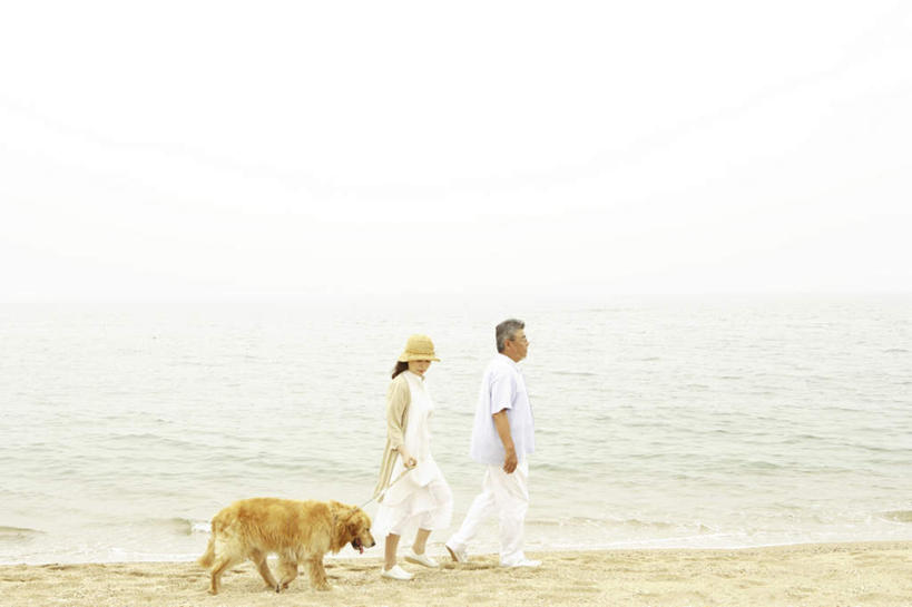 东方人,头发,两个人,家庭,夫妻,站,走,横图,室外,白天,侧面,爱情,旅游,度假,海浪,海洋,沙滩,宠物,狗,亚洲,阴影,波纹,服装,光线,沙子,影子,海岸,浪花,云,云朵,沙地,浪漫,云彩,注视,休闲装,黄种人,娱乐,金毛犬,一只,衣服,黄色,蓝色,白色,黑色,白云,蓝天,水纹,天空,阳光,海水,动物,波浪,天,观察,看,站着,享受,休闲,温暖,温馨,一家人,休闲服,恩爱,放松,可爱,恋人,服饰,金毛,观看,和睦,察看,关注,寻回犬,海景,金毛寻回犬,忠诚,老年男性,老年女性,男人,男性,女人,女性,亚洲人,夫妇,情侣,大海,风浪,海,海水的波动,海滩,近岸浪,涌浪,犬,步行,散步,站立,走路,彩图,全身,伴侣,融洽