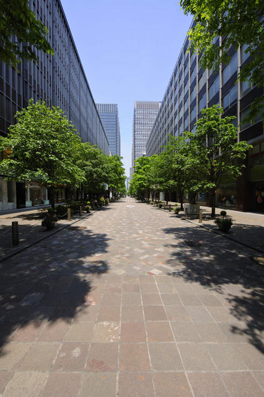 无人,高楼大厦,竖图,室外,白天,正面,旅游,度假,美景,植物,窗户,大厦,建筑,摩天大楼,东京,日本,亚洲,一排,许多,阴影,整齐,光线,影子,景观,云,云朵,云彩,娱乐,玻璃窗,树,树木,排列,蓝色,绿色,白云,蓝天,天空,阳光,自然,天,享受,休闲,景色,放松,生长,成长,队列,自然风光,东亚,本州,关东地方,本州岛,日本国,东京都,彩图,大楼,高层建筑,高楼,摩天楼