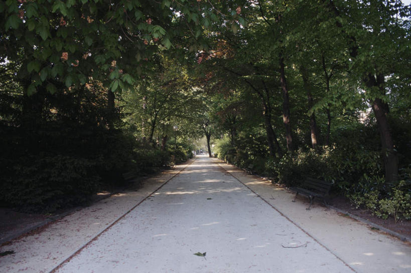 无人,横图,室外,白天,正面,旅游,度假,美景,树林,植物,道路,街道,路,公路,法国,欧洲,一排,许多,阴影,朦胧,模糊,整齐,光线,影子,景观,交通,娱乐,树,树木,排列,绿色,阳光,自然,享受,休闲,景色,放松,生长,成长,队列,自然风光,法兰西共和国,法兰西第五共和国,马路,彩图