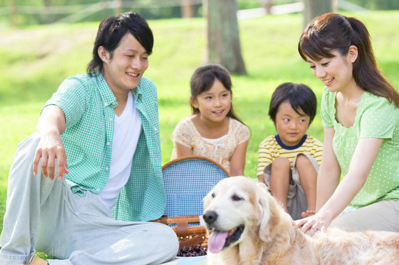 东方人,儿童,四个人,家庭,夫妻,母亲,父亲,女儿,儿子,站,坐,笑,摸,微笑,露齿笑,横图,室外,白天,正面,爱情,纯洁,草地,草坪,植物,亚洲,抚摸,阴影,服装,朦胧,模糊,光线,影子,浪漫,注视,休闲装,黄种人,金毛犬,吐舌头,草,树,树木,一只,小孩,衣服,绿色,阳光,自然,观察,看,伸舌头,站着,休闲,温暖,温馨,鬼脸,父女,父子,母女,母子,一家人,休闲服,吐舌,恩爱,父爱,可爱,母爱,童年,童趣,恋人,服饰,金毛,生长,成长,观看,和睦,察看,关注,寻回犬,童真,烂漫,无邪,金毛寻回犬,天真,男孩,男人,男性,年轻男性,年轻女性,女孩,女人,女性,亚洲人,孩子,年轻人,夫妇,情侣,触摸,接触,站立,坐着,半身,彩图,伴侣,融洽,男生,女生