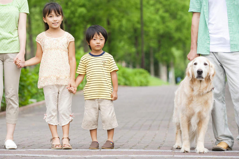 儿童,四个人,家庭,夫妻,母亲,父亲,女儿,儿子,站,握手,横图,室外,白天,正面,爱情,纯洁,树林,植物,道路,路,朦胧,模糊,小路,交通,浪漫,注视,金毛犬,树,树木,一只,小孩,绿色,自然,观察,看,站着,温暖,温馨,父女,父子,母女,母子,一家人,恩爱,父爱,可爱,母爱,童年,童趣,恋人,金毛,生长,成长,观看,和睦,察看,关注,寻回犬,童真,烂漫,无邪,金毛寻回犬,天真,男孩,男人,男性,年轻男性,年轻女性,女孩,女人,女性,孩子,年轻人,夫妇,情侣,搀手,拉手,手搀手,手拉手,手牵手,手握手,站立,半身,彩图,伴侣,融洽,男生,女生