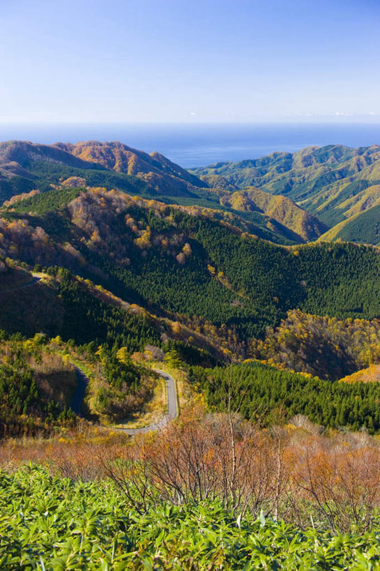 无人,竖图,俯视,室外,白天,旅游,度假,海浪,海洋,美景,秋季,山,山脉,树林,植物,秋田县,日本,亚洲,朦胧,模糊,景观,浪花,山峰,水平线,云,云朵,海平线,山峦,云彩,娱乐,树,树木,蓝色,绿色,白云,蓝天,天空,自然,海水,群山,天,享受,休闲,景色,放松,生长,晴朗,成长,自然风光,海景,东亚,本州,本州岛,日本国,秋田,东北地方,藤里町,大海,风浪,海,海水的波动,近岸浪,涌浪,晴空,秋,秋天,彩图,高角度拍摄