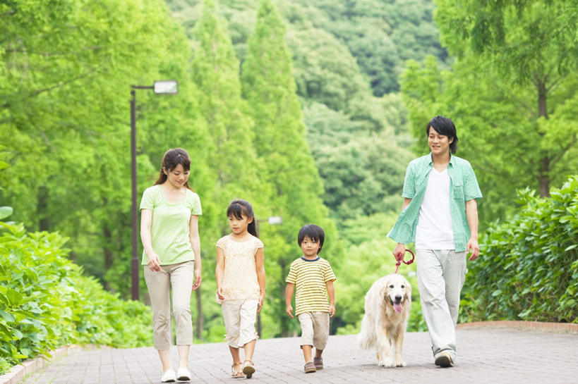 东方人,儿童,四个人,家庭,夫妻,母亲,父亲,女儿,儿子,走,横图,室外,白天,正面,爱情,旅游,度假,纯洁,美景,树林,植物,道路,路,路灯,公路,照明,亚洲,一排,握,服装,朦胧,模糊,整齐,景观,灯光,交通,浪漫,拿,拿着,休闲装,黄种人,娱乐,金毛犬,灯,树,树木,排列,一只,小孩,衣服,绿色,自然,绳子,享受,休闲,温暖,温馨,父女,父子,母女,母子,一家人,休闲服,景色,恩爱,放松,父爱,可爱,母爱,童年,童趣,握着,恋人,服饰,金毛,生长,成长,绳索,照亮,和睦,照明设备,队列,自然风光,寻回犬,童真,烂漫,无邪,金毛寻回犬,天真,男孩,男人,男性,年轻男性,年轻女性,女孩,女人,女性,亚洲人,孩子,年轻人,夫妇,情侣,马路,步行,散步,走路,彩图,全身,伴侣,融洽,男生,女生