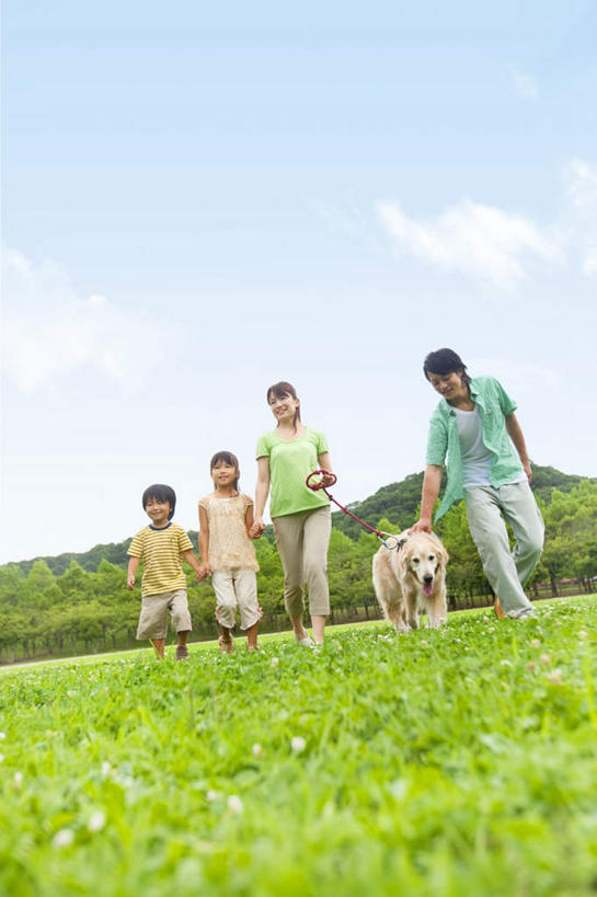 儿童,四个人,家庭,夫妻,母亲,父亲,女儿,儿子,走,笑,微笑,露齿笑,竖图,室外,白天,仰视,爱情,纯洁,草地,草坪,植物,宠物,狗,一排,牵,握,朦胧,模糊,整齐,云,云朵,浪漫,拿,云彩,拿着,金毛犬,草,排列,小孩,蓝色,绿色,白云,蓝天,天空,动物,天,温暖,温馨,父女,父子,母女,母子,一家人,恩爱,父爱,可爱,母爱,童年,童趣,握着,恋人,金毛,晴朗,牵着,和睦,队列,寻回犬,童真,烂漫,无邪,金毛寻回犬,忠诚,金毛狗,金毛寻回狗,寻回狗,天真,男孩,男人,男性,年轻男性,年轻女性,女孩,女人,女性,孩子,年轻人,夫妇,情侣,晴空,犬,步行,散步,走路,彩图,低角度拍摄,全身,伴侣,融洽,男生,女生