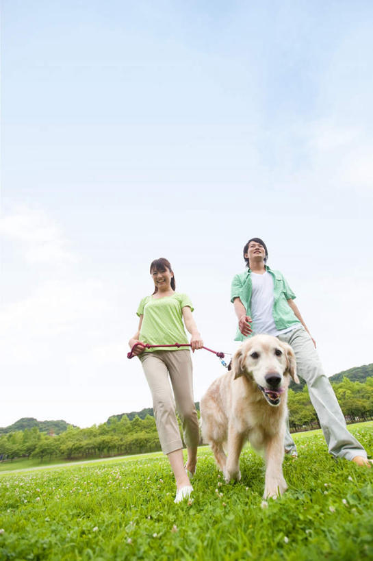东方人,两个人,夫妻,走,笑,微笑,露齿笑,竖图,室外,白天,仰视,爱情,草地,草坪,植物,亚洲,服装,朦胧,模糊,云,云朵,浪漫,云彩,休闲装,黄种人,金毛犬,草,树,树木,一只,衣服,蓝色,绿色,白云,蓝天,天空,自然,天,休闲,休闲服,恩爱,恋人,服饰,金毛,生长,晴朗,成长,寻回犬,金毛寻回犬,男人,男性,年轻男性,年轻女性,女人,女性,亚洲人,夫妇,情侣,晴空,步行,散步,走路,彩图,低角度拍摄,全身,伴侣
