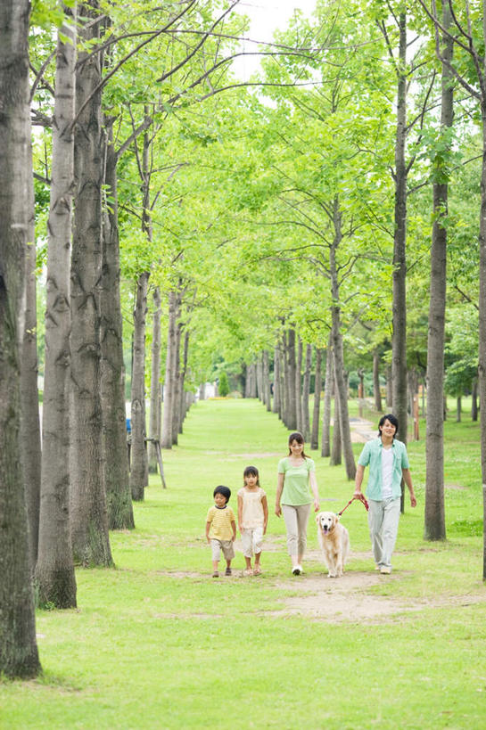 东方人,儿童,四个人,家庭,夫妻,母亲,父亲,女儿,儿子,走,竖图,室外,白天,正面,爱情,旅游,度假,纯洁,草地,草坪,美景,植物,亚洲,一排,许多,牵,握,服装,朦胧,模糊,整齐,景观,浪漫,拿,拿着,休闲装,黄种人,娱乐,金毛犬,草,树,树木,排列,一只,小孩,衣服,绿色,自然,享受,休闲,温暖,温馨,父女,父子,母女,母子,一家人,休闲服,景色,恩爱,放松,父爱,可爱,母爱,童年,童趣,握着,恋人,服饰,金毛,生长,成长,牵着,和睦,队列,自然风光,寻回犬,童真,烂漫,无邪,金毛寻回犬,天真,男孩,男人,男性,年轻男性,年轻女性,女孩,女人,女性,亚洲人,孩子,年轻人,夫妇,情侣,步行,散步,走路,彩图,全身,伴侣,融洽,男生,女生