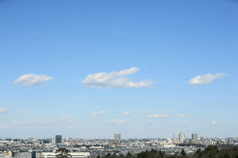 无人,高楼大厦,横图,俯视,航拍,室外,白天,度假,美景,树林,植物,城市风光,城市,大厦,建筑,摩天大楼,东京,日本,亚洲,景观,云,云朵,建筑群,云彩,娱乐,建设,树,树木,蓝色,绿色,白云,蓝天,天空,自然,天,享受,休闲,景色,放松,生长,晴朗,成长,鸟瞰,东亚,本州,关东地方,本州岛,日本国,东京都,晴空,彩图,高角度拍摄,大楼,高层建筑,高楼,摩天楼