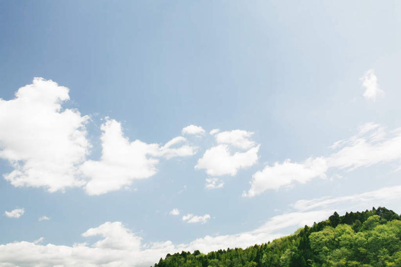 无人,横图,室外,白天,仰视,旅游,度假,美景,树林,植物,日本,亚洲,景观,云,云朵,千叶县,云彩,娱乐,树,树木,蓝色,绿色,白云,蓝天,天空,自然,天,享受,休闲,景色,放松,生长,晴朗,成长,自然风光,东亚,本州,关东地方,本州岛,日本国,千叶,晴空,彩图,低角度拍摄