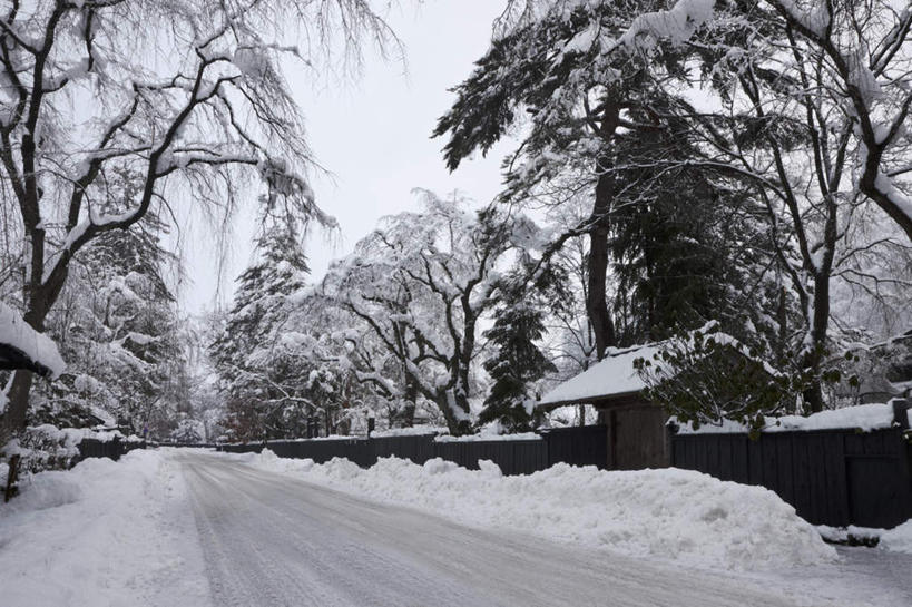 无人,栏杆,横图,室外,白天,正面,旅游,度假,美景,雪,植物,大雪,道路,街道,路,公路,秋田县,日本,亚洲,栅栏,积雪,景观,篱笆,雪景,冬季,冬天,围栏,交通,娱乐,护栏,树,树木,蓝色,绿色,蓝天,天空,自然,天,享受,休闲,景色,放松,寒冷,生长,晴朗,成长,自然风光,东亚,本州,万里无云,本州岛,日本国,秋田,东北地方,严寒,晴空,晴空万里,马路,彩图